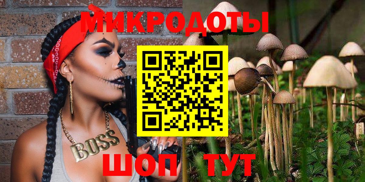 Новокубанск  Галлюциногенные грибы прущие грибы  Вход с VPN 